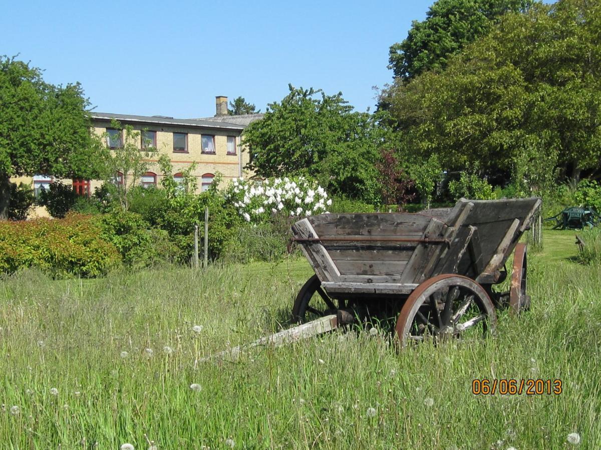 Nygammelso Bed & Breakfast Stege Dış mekan fotoğraf